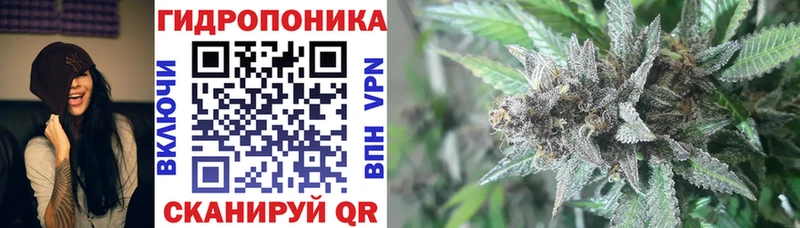 купить  цена  Комсомольск  Каннабис SATIVA & INDICA 
